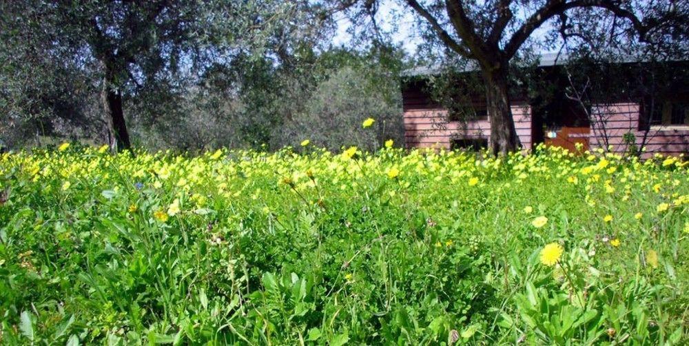 Agriturismo Terra Di Pace Noto Exterior photo